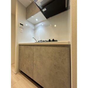 拡大写真:S-RESIDENCE名駅NorthⅡ 3階201のキッチン