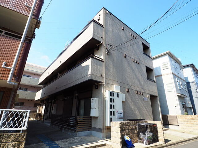 ピンパーネルの外観