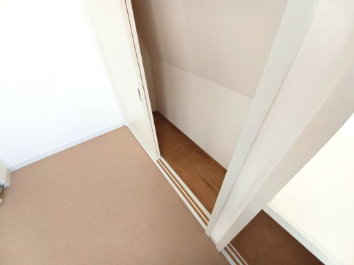 拡大写真:三恵ハウスB 3階3Aの収納豊富です