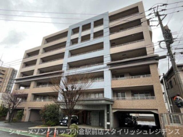 フリーリー守恒 の外観