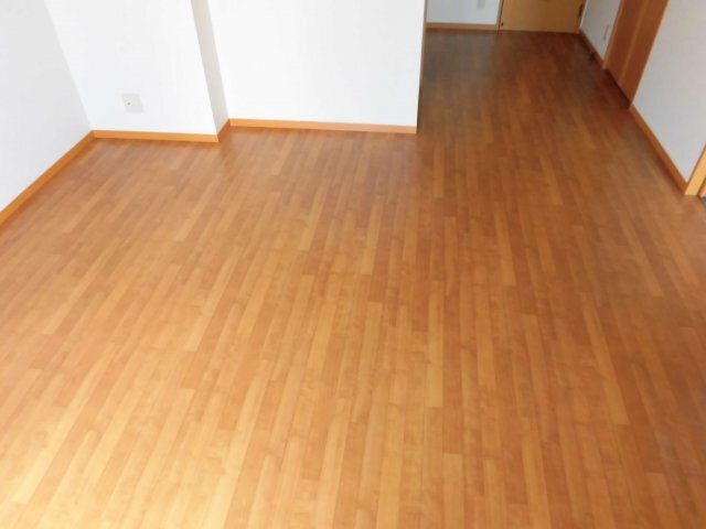 拡大写真:SOLEIL 2階201の居間