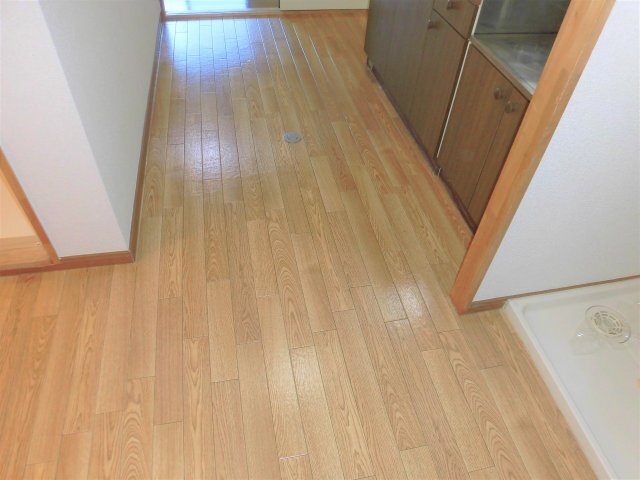 拡大写真:レスパスドルポⅡ 2階202のキッチン