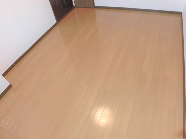 拡大写真:エムブレイス 2階202の洋室