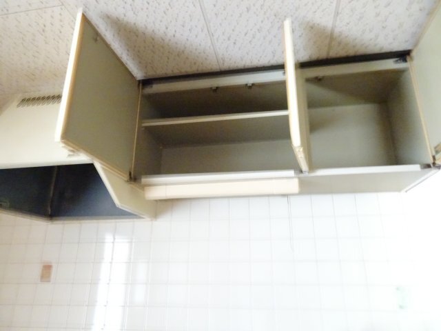 拡大写真：マウンティンやかたⅡ 2階203のキッチン