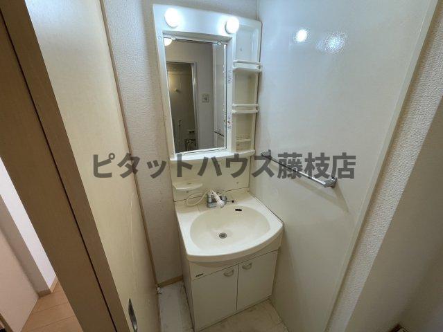 拡大写真:藤枝市高柳4丁目 2階201の洗面所