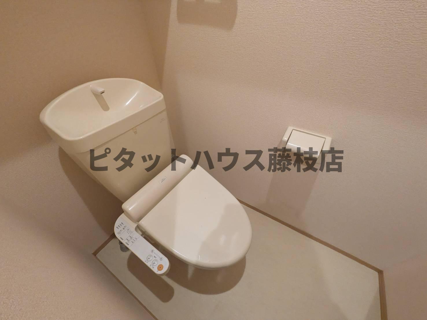 拡大写真:藤枝市南駿河台6丁目 1階101のトイレ