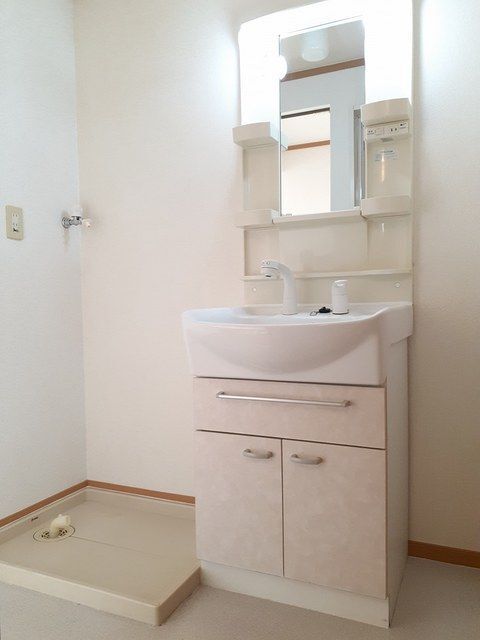 拡大写真:藤枝市横内 2階201の洗面所