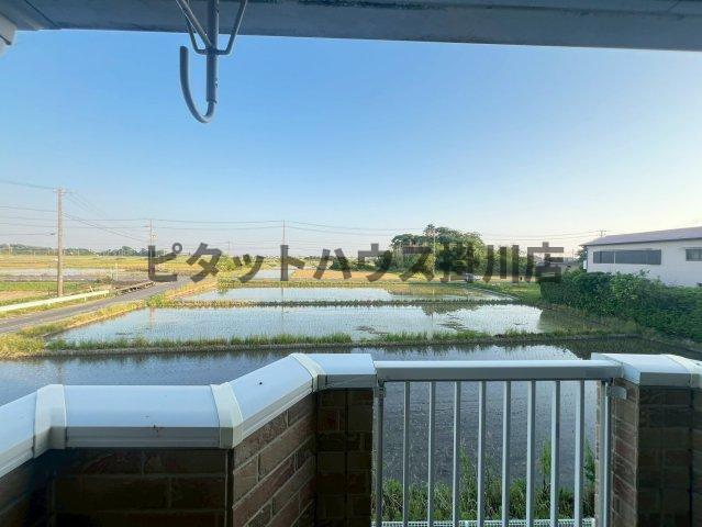 拡大写真:袋井市浅名 2階203の展望