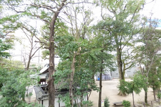 拡大写真:BIRD ISLAND 2階201の展望