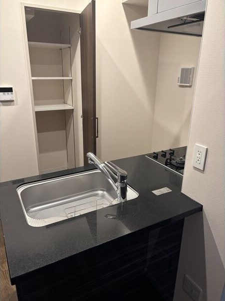 拡大写真：さくらHills　ROKUBAN　Platinum　Residence 9階903のキッチン