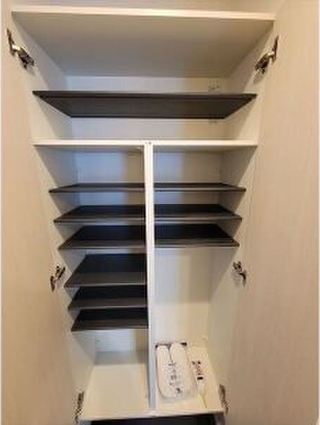 拡大写真:さくらHills ROKUBAN Platinum Residence 11階1101の収納