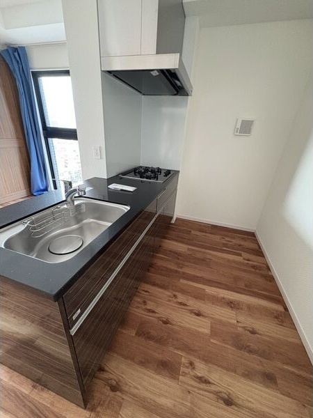 拡大写真:さくらHills ROKUBAN Platinum Residence 12階1204のキッチン