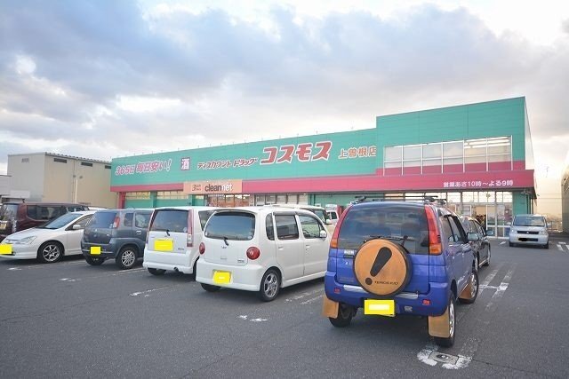 拡大写真:メゾンK.Y 2階201のコスモスまで1400m
