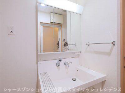 拡大写真:グランヒルズ下曽根 4階401の洗面所