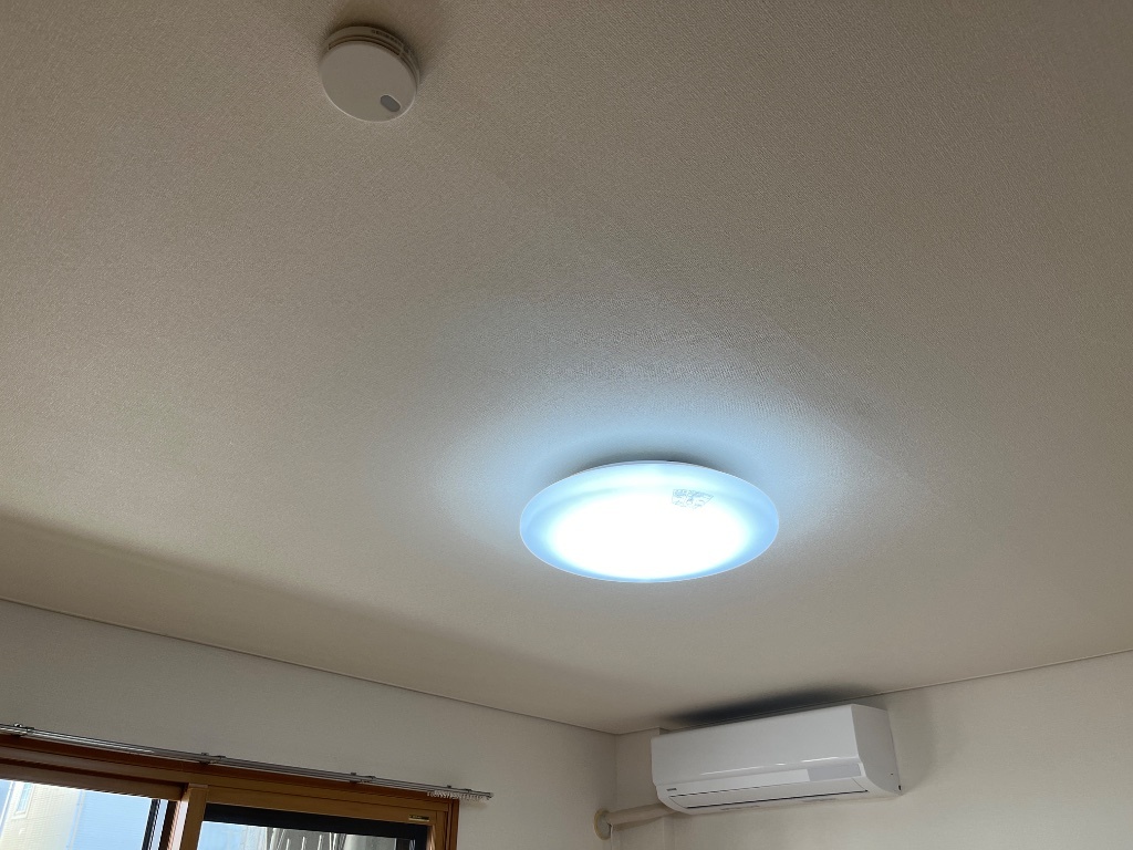 拡大写真:ララ・ポート 1階101の照明器具