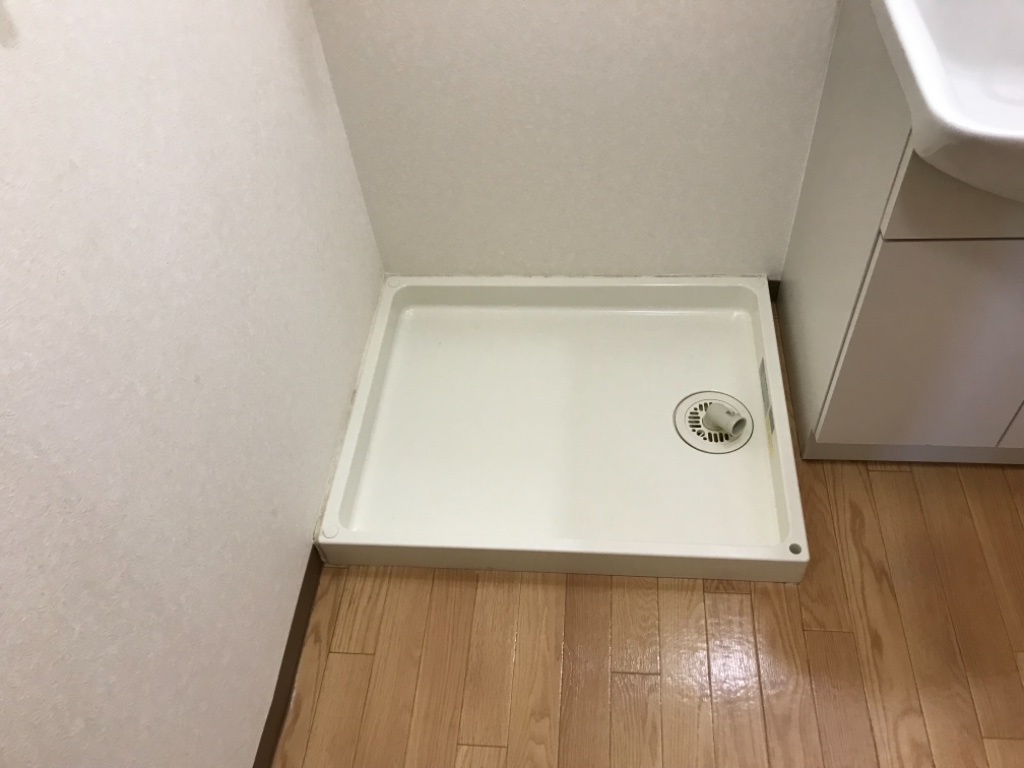 拡大写真:スクエア緑 2階201の脱衣所(洗濯機置き場)