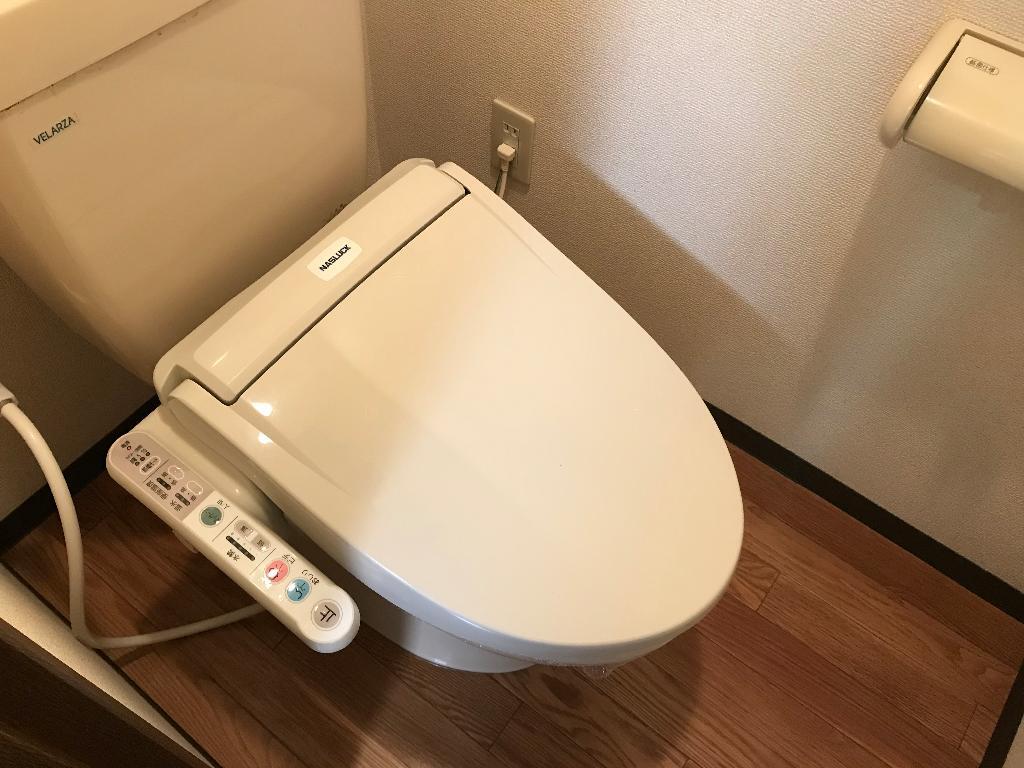 拡大写真:ピュア エクセル 3階301のシャワー付トイレ