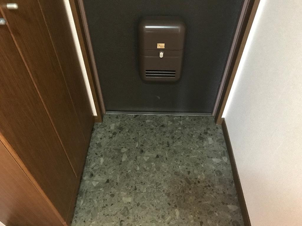 拡大写真:ピュア エクセル 3階301の玄関