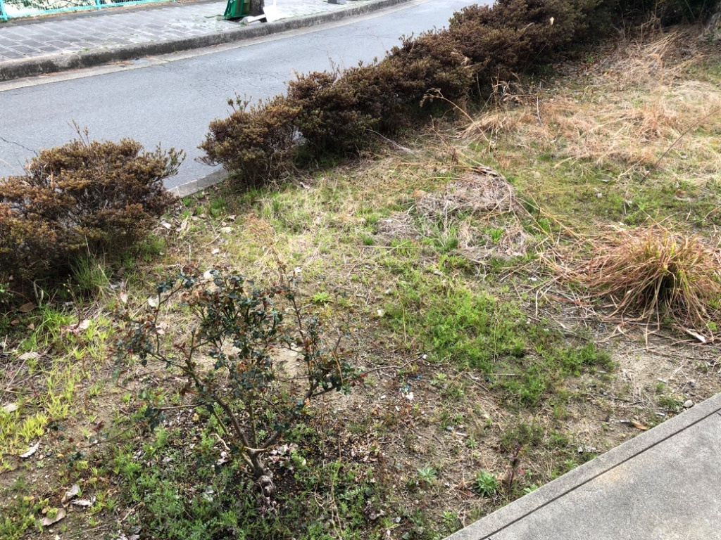 拡大写真:サウスホーム 1階102の庭
