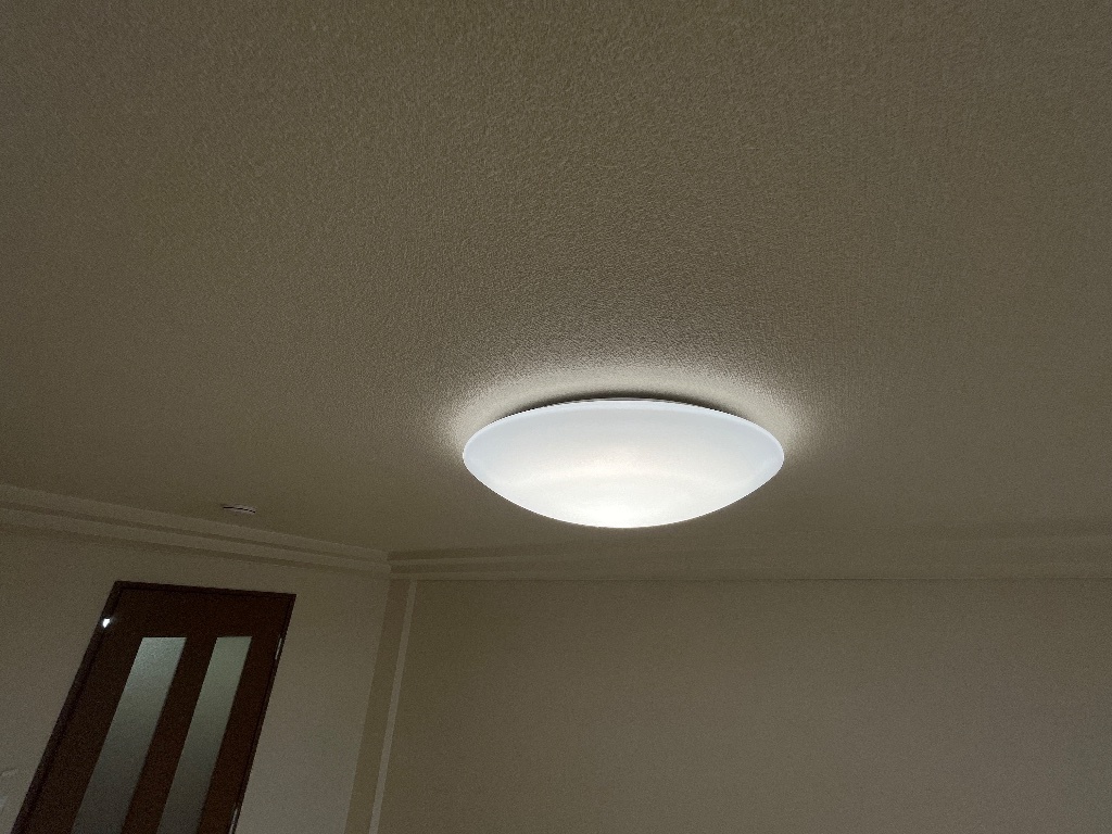 拡大写真:メゾンキャロット 2階203の照明器具2台