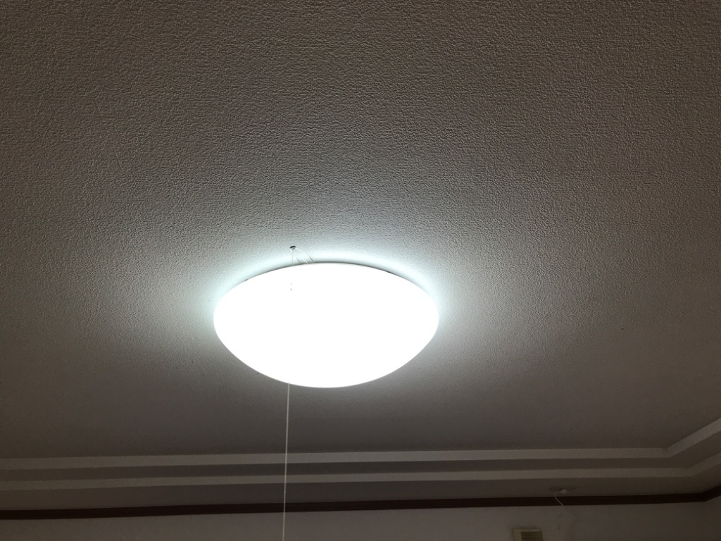 拡大写真:ヴィンテージ 2階203の照明