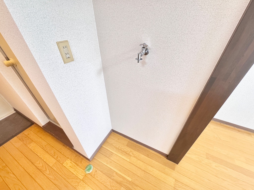 拡大写真:ドリーム共栄 1階B-1の洗濯機置き場