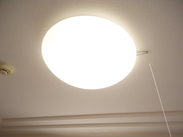 拡大写真:エレガント・ライフ 1階101の照明器具