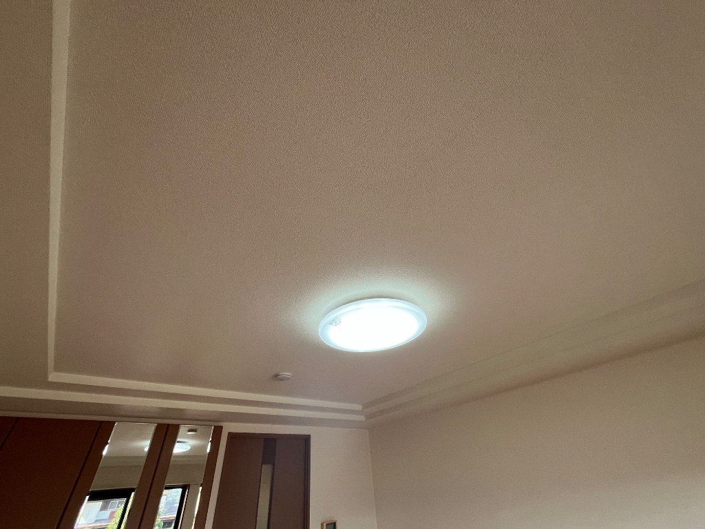 拡大写真：ペガサス和気Ⅱ番館 1階101の照明器具