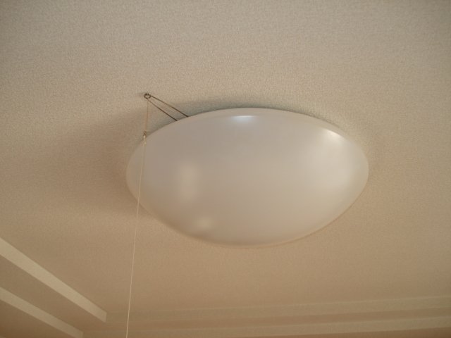 拡大写真:アップフィールド新倉敷 2階202の照明器具(イメージ)