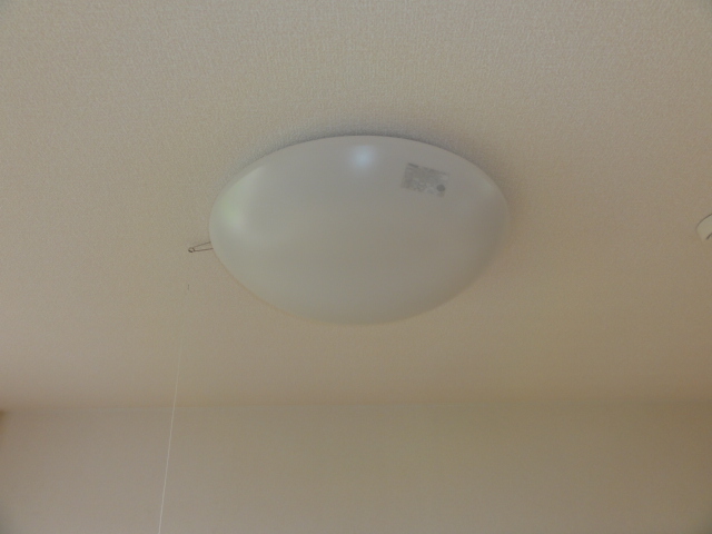 拡大写真:メルヴェールⅠ 1階103の照明器具