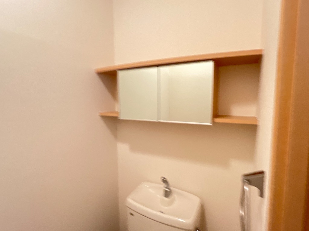 拡大写真:グランチェスタ・新田 1階103のトイレ収納