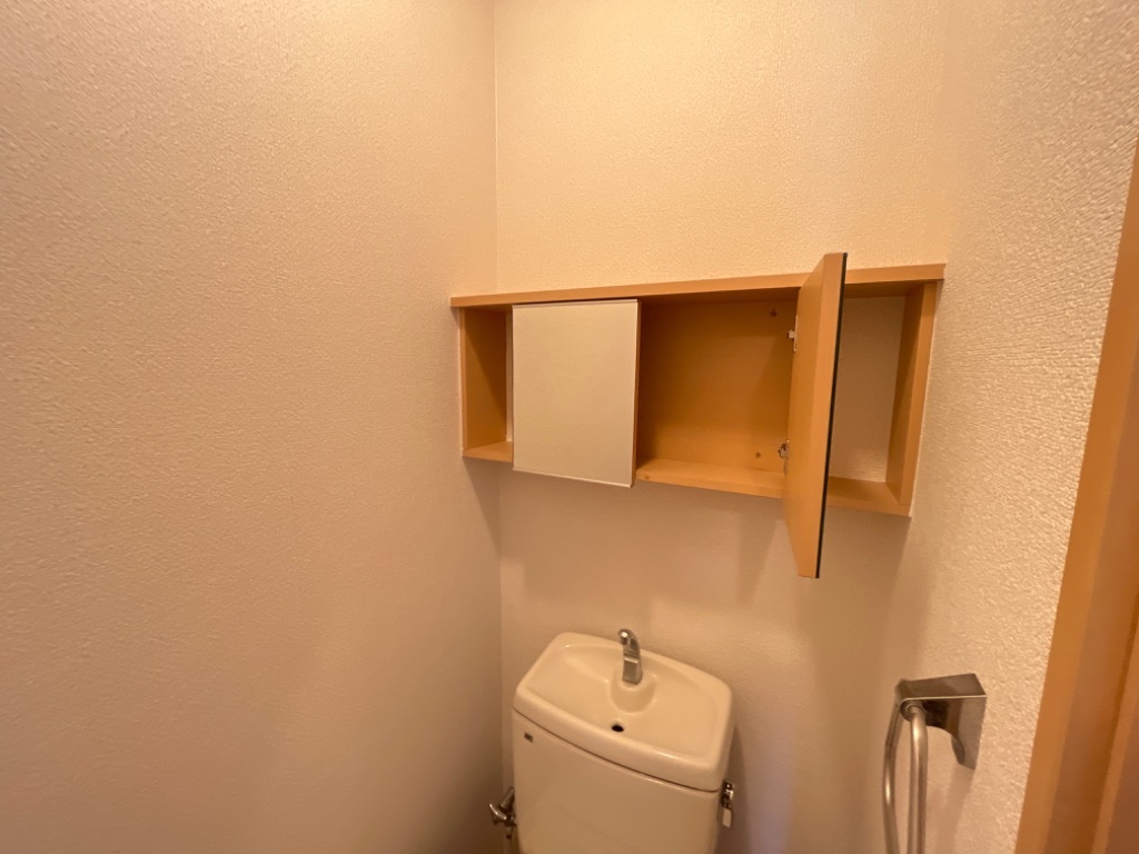 拡大写真：ルインズ・ヒル（ＲＵＩＮＳ・ＨＩＬＬ） 1階103のトイレ鏡付収納