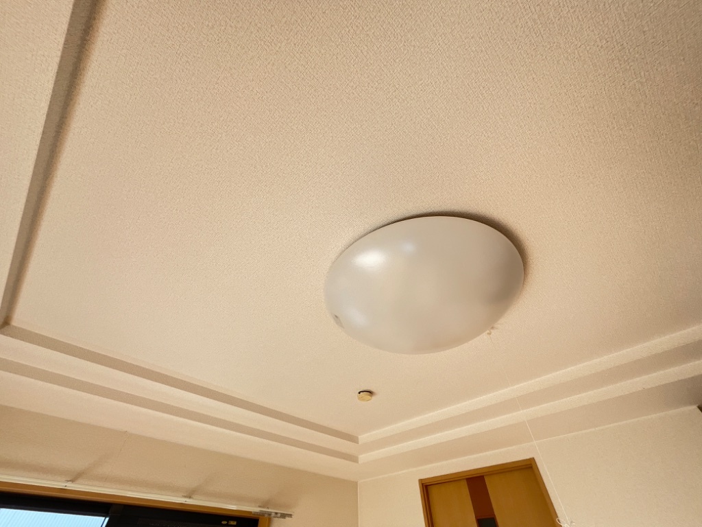 拡大写真:サン・ピア 1階101の照明器具