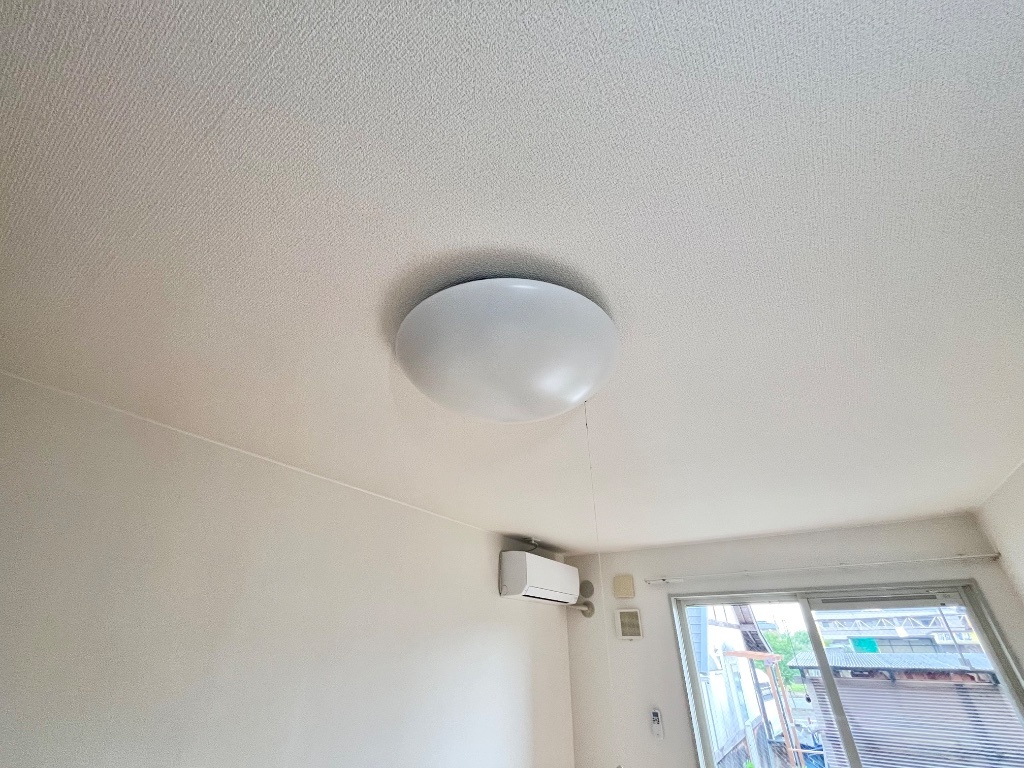 拡大写真:スカイ・ピース 1階101の照明器具