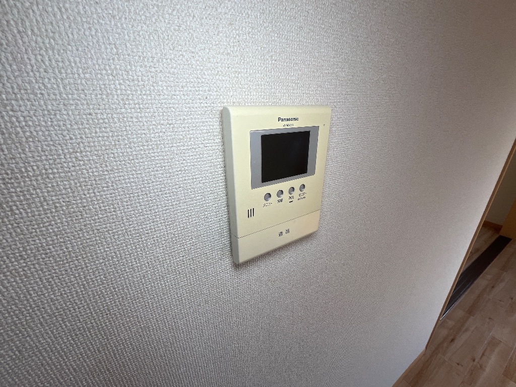 拡大写真:カシェット 2階206のカメラ付インターホン