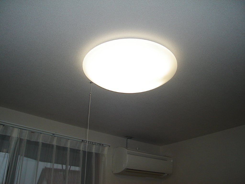 拡大写真:サンコート東原 2階203の照明器具