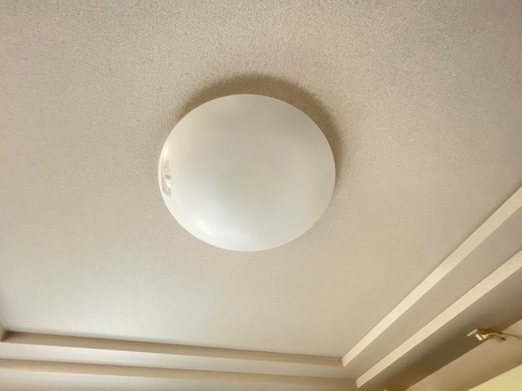 拡大写真:ブルーローズ 3階305の室内照明