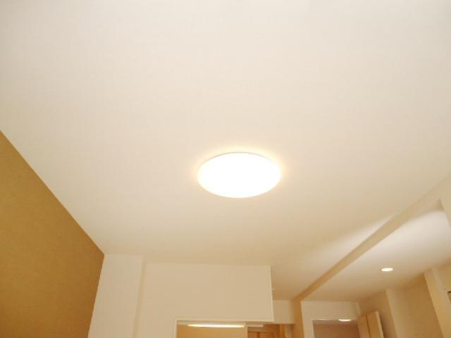 拡大写真:カネイコート日開野Ⅱ 1階101の照明器具
