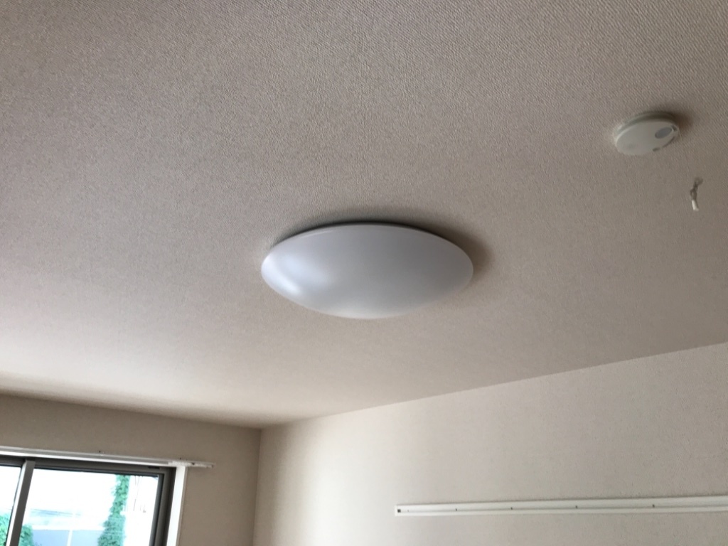 拡大写真:ルーチェ池花 2階201の照明器具
