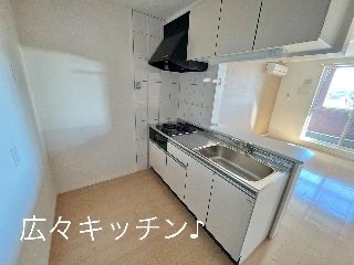 拡大写真:ビバリーヒルズ イワキ 2階202のキッチン