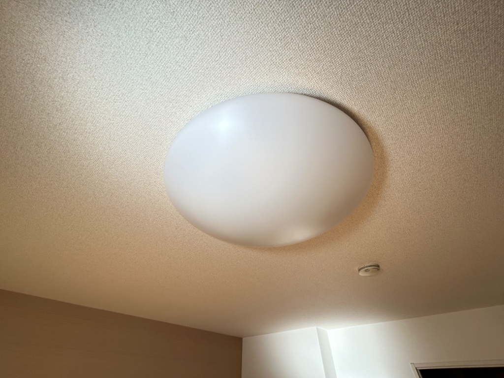 拡大写真:エンジェルハイム・パイン 1階101の照明器具