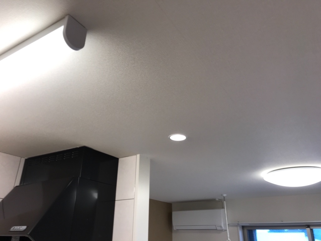 拡大写真:バーニーズⅠ 2階205の照明器具