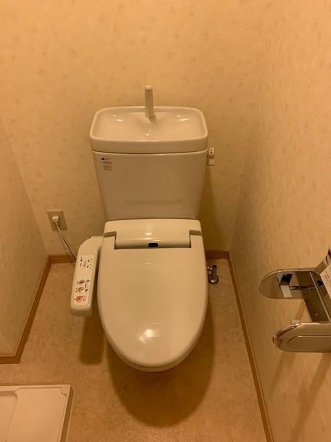 拡大写真:ルメルシエ 5階501のトイレ