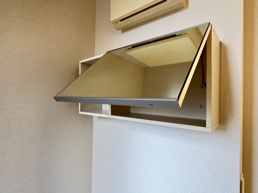 拡大写真:レジーナガーデン 1階102のトイレ扉付き収納