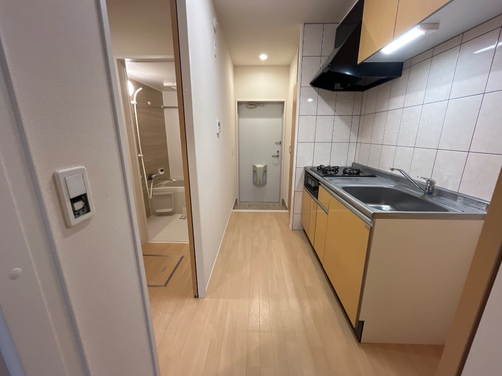 拡大写真:plum house 2階203の廊下