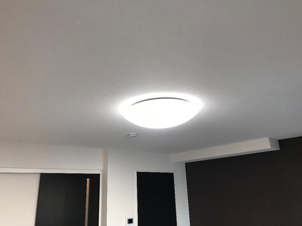 拡大写真:オーガスタ Ⅰ 1階101の照明器具