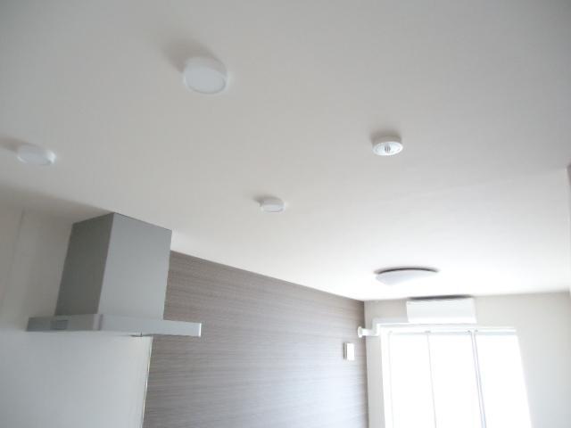 拡大写真:ルミナスハイム羽浦Ⅳ 2階201の照明器具
