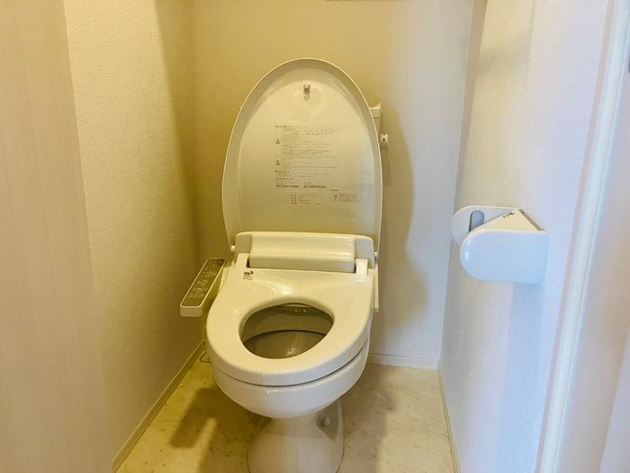 拡大写真:D-room桜町D棟 3階301のトイレ