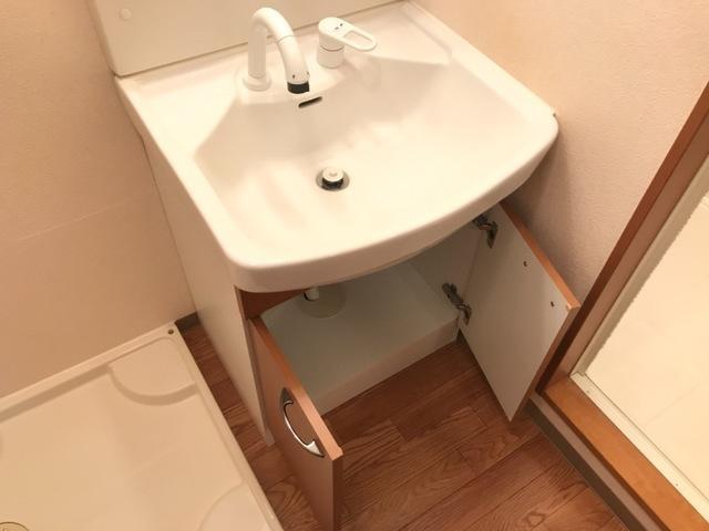 拡大写真:グランチェスタWEST 2階201の洗面(イメージ)