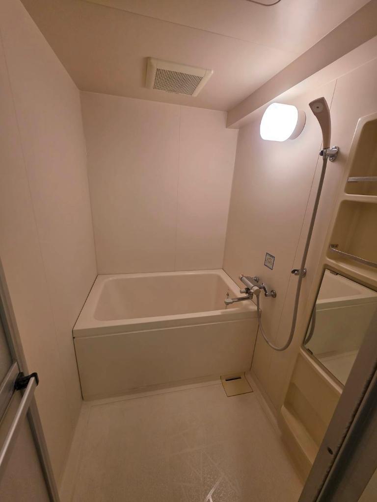 拡大写真:ベレーザカステーロ 3階303のバス